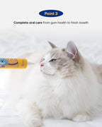Dental Solution Toothpaste