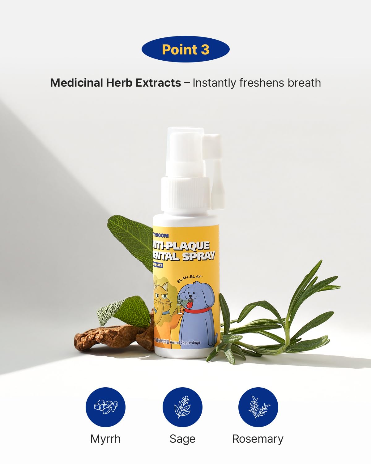 Anti-Plaque Dental Spray