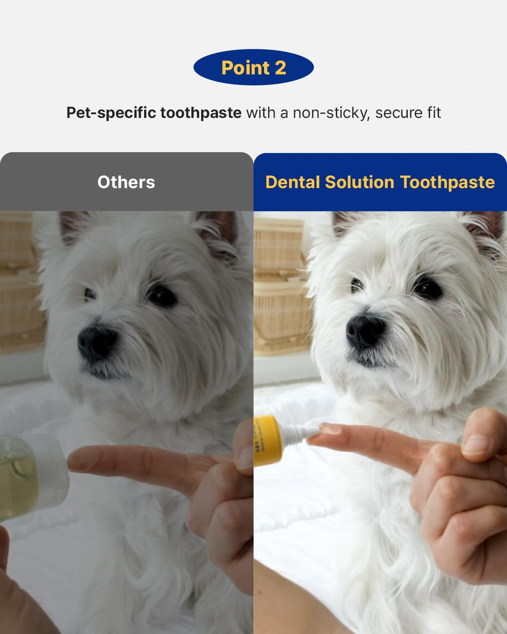 Dental Solution Toothpaste