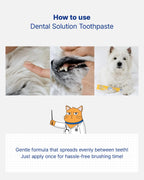 Dental Solution Toothpaste
