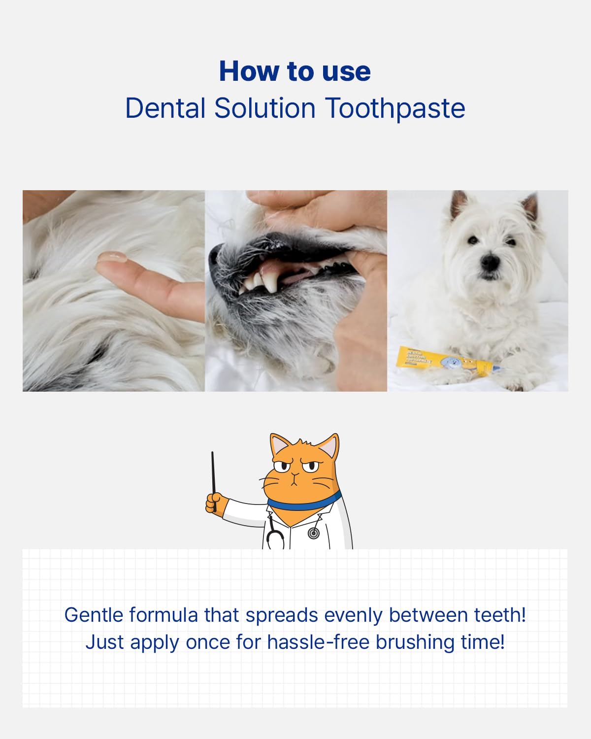 Dental Solution Toothpaste