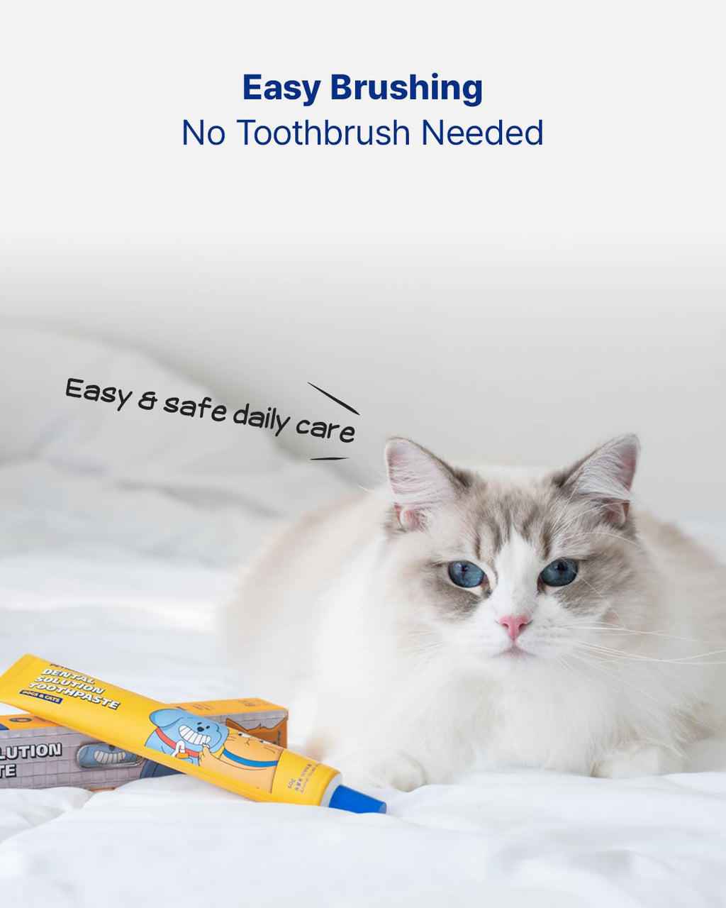 Dental Solution Toothpaste