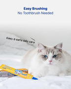 Dental Solution Toothpaste