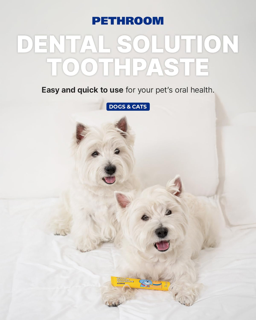 Dental Solution Toothpaste
