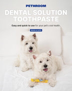 Dental Solution Toothpaste