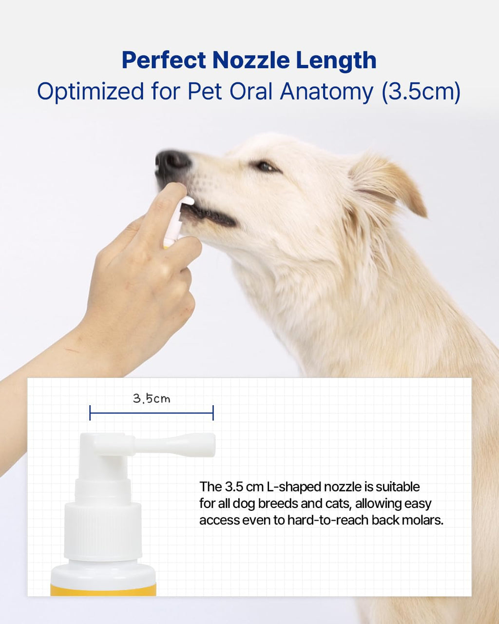 Anti-Plaque Dental Spray