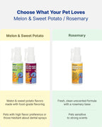 Anti-Plaque Dental Spray