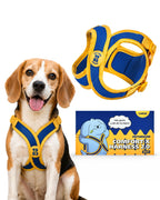 Comfort-X Dog Harness 2.0
