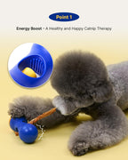 Nosework Stick Holder Series
