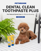 Dental Clean Toothpaste Plus