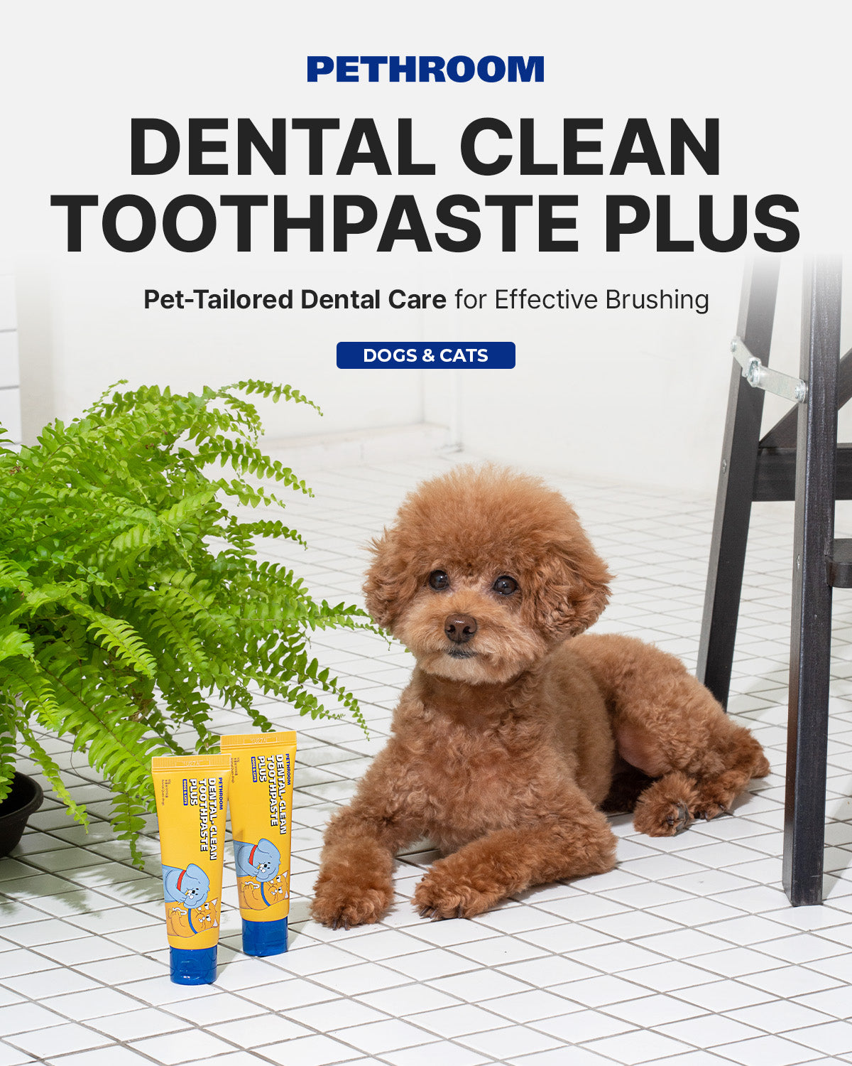 Dental Clean Toothpaste Plus