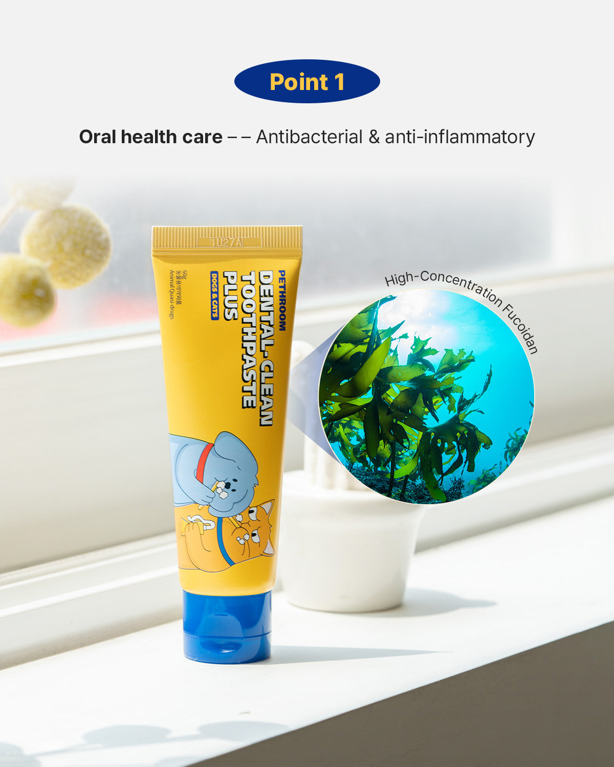 Dental Clean Toothpaste Plus