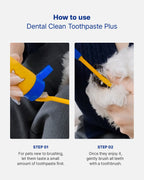 Dental Clean Toothpaste Plus