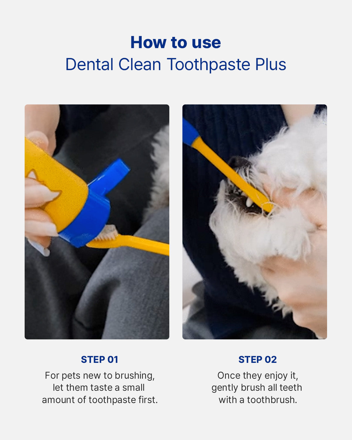 Dental Clean Toothpaste Plus