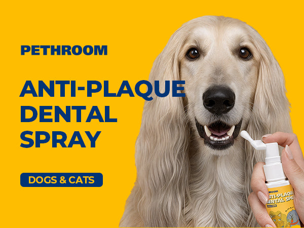Anti-Plaque Dental Spray