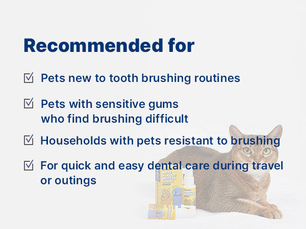 Anti-Plaque Dental Spray