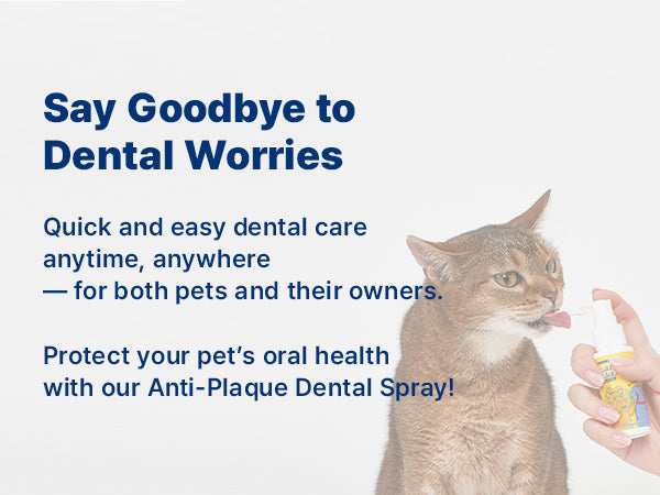 Anti-Plaque Dental Spray