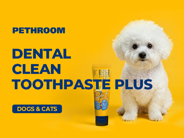 Dental Clean Toothpaste Plus