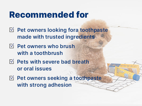 Dental Clean Toothpaste Plus