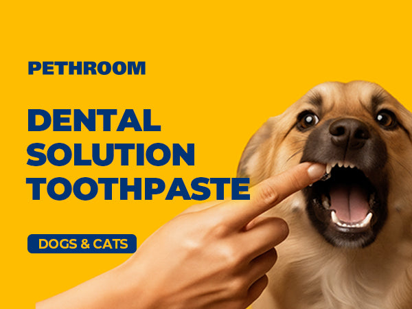 Dental Solution Toothpaste