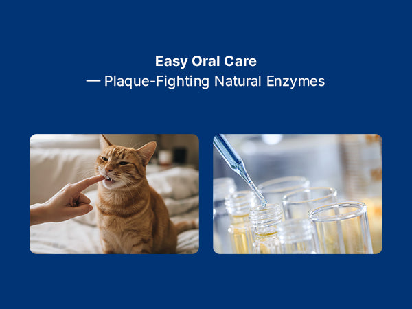 Dental Solution Toothpaste