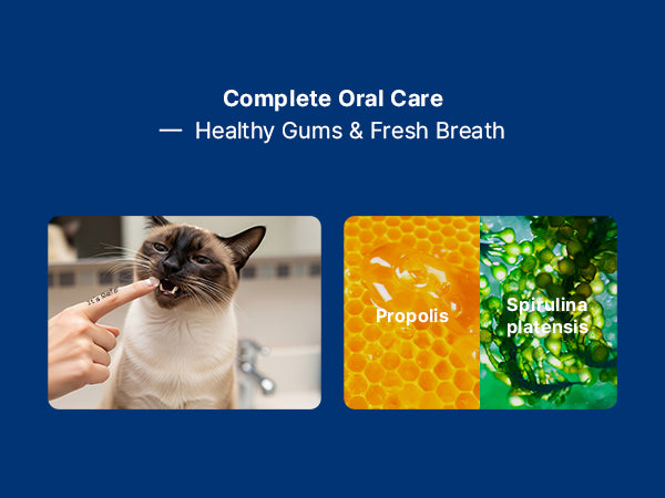 Dental Solution Toothpaste