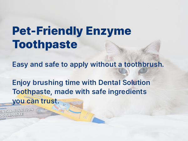 Dental Solution Toothpaste