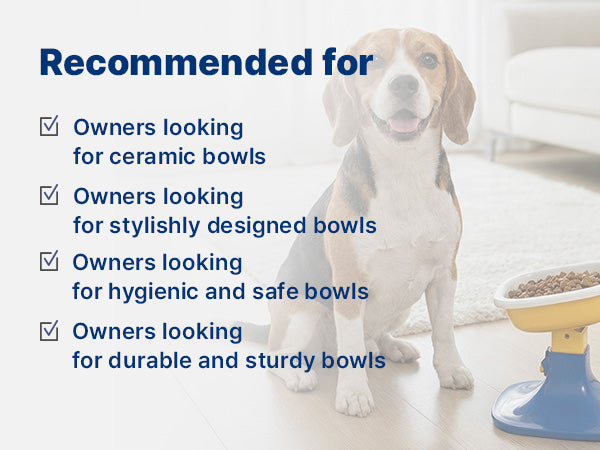 Well Fit Bowl