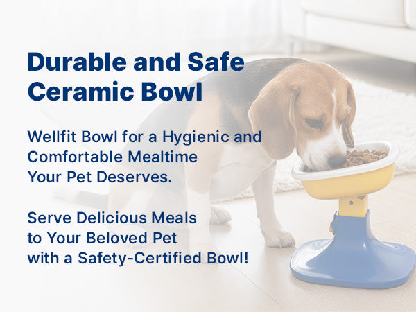 Well Fit Bowl