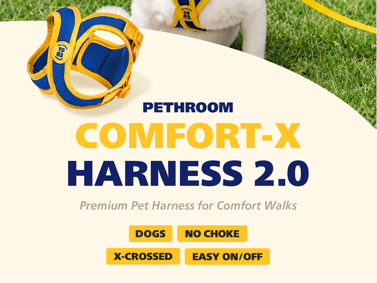 Comfort-X Dog Harness 2.0