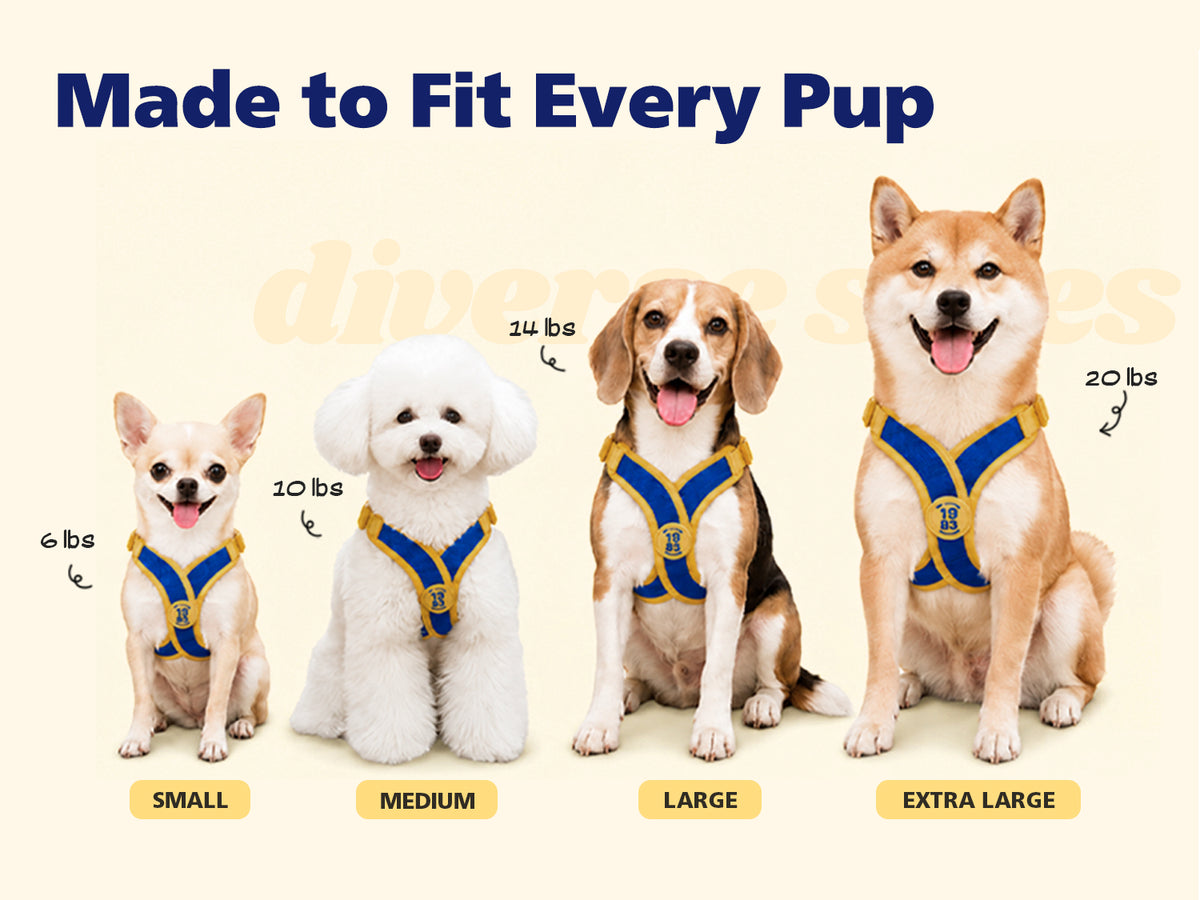 Comfort-X Dog Harness 2.0