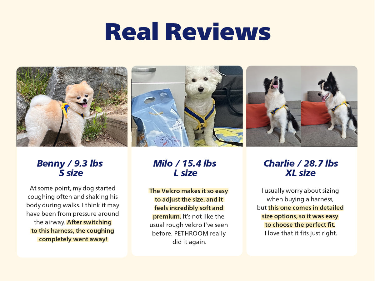 Comfort-X Dog Harness 2.0