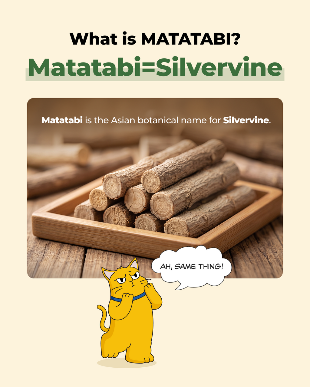 Happy Max Cat Silvervine Spray