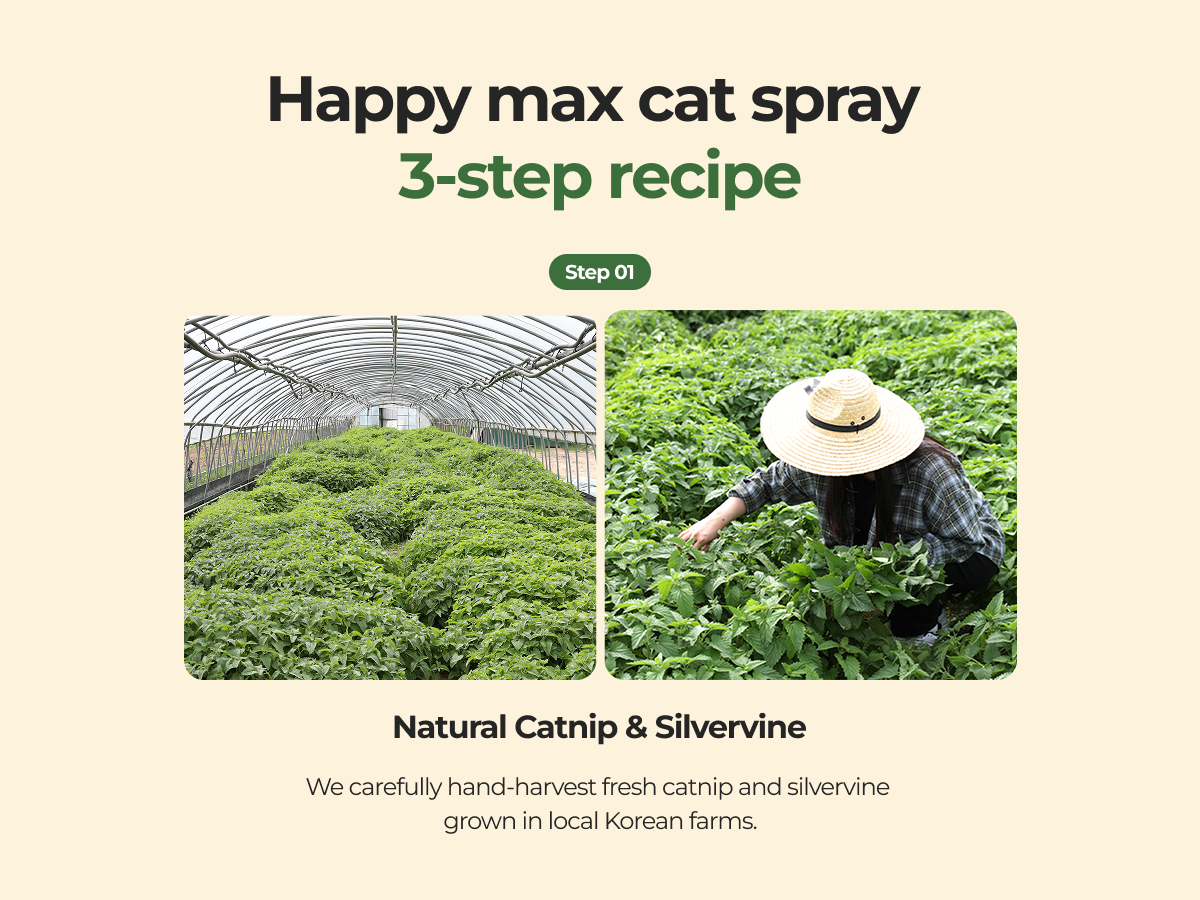 Happy Max Cat Silvervine Spray