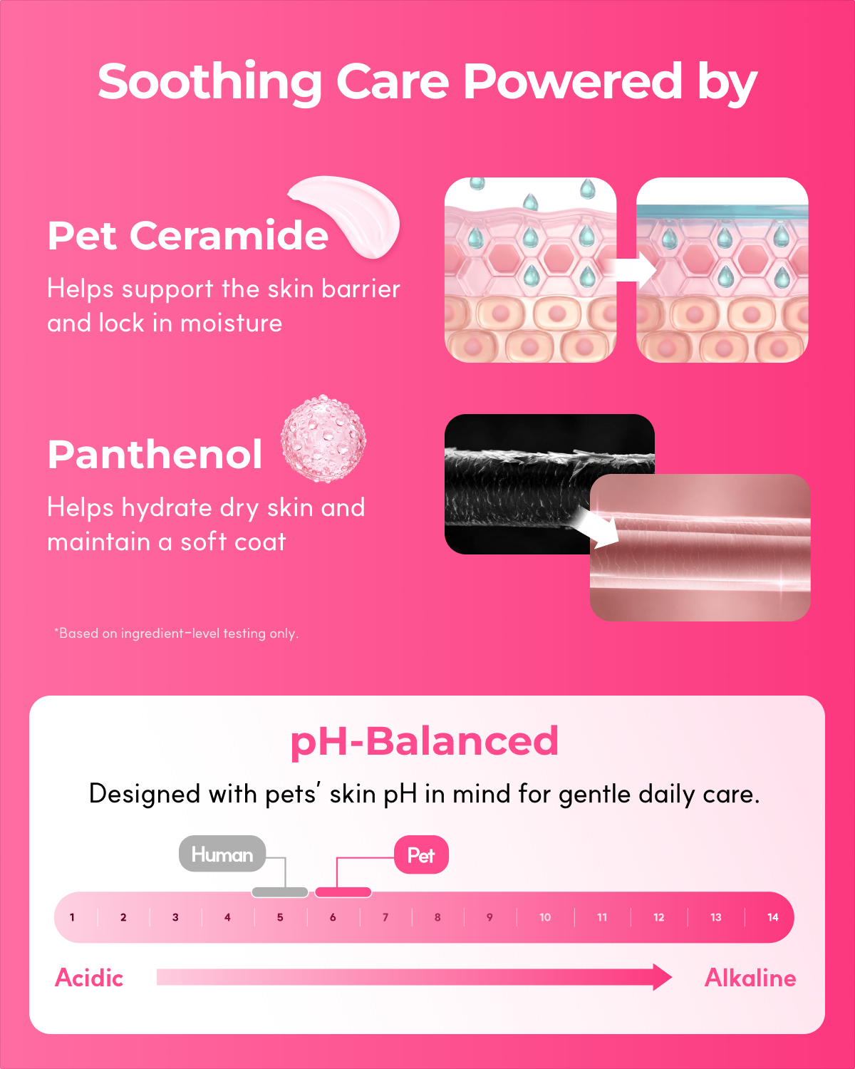 Pink basic bundle - Pink Shampoo & Easy Facial Comb