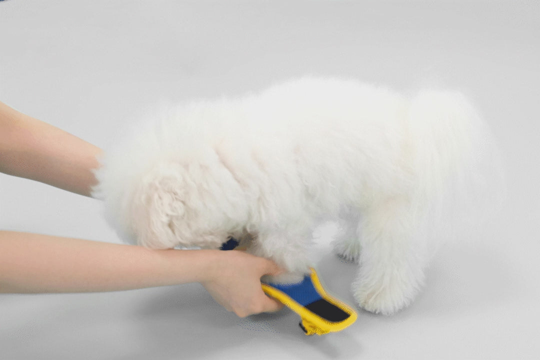 Comfort-X Dog Harness 2.0