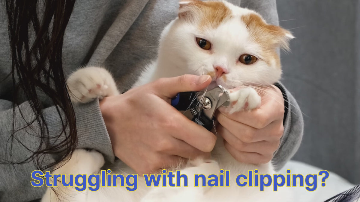 Smart Nail Clipper Cats