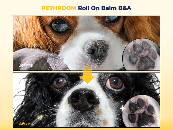 Roll-on Paw Balm